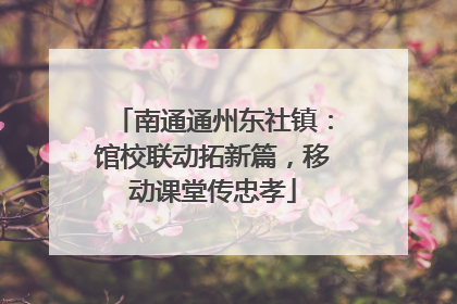 南通通州东社镇：馆校联动拓新篇，移动课堂传忠孝