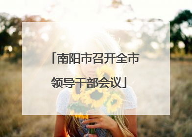 南阳市召开全市领导干部会议