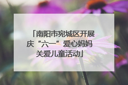 南阳市宛城区开展庆“六一”爱心妈妈关爱儿童活动