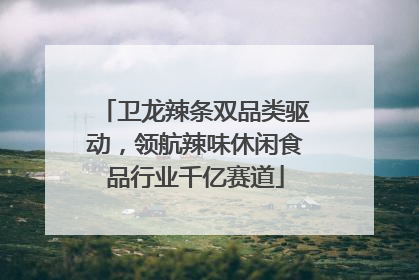 卫龙辣条双品类驱动，领航辣味休闲食品行业千亿赛道