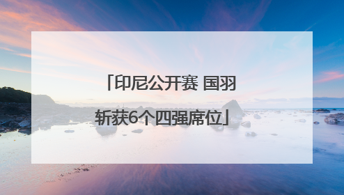 印尼公开赛 国羽斩获6个四强席位