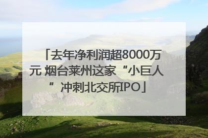去年净利润超8000万元 烟台莱州这家“小巨人”冲刺北交所IPO