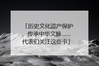 历史文化遗产保护、传承中华文脉……代表们关注这些事