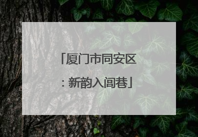 厦门市同安区：新韵入闾巷