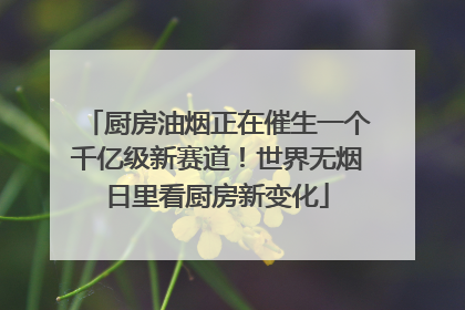 厨房油烟正在催生一个千亿级新赛道！世界无烟日里看厨房新变化