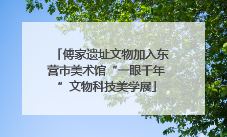 傅家遗址文物加入东营市美术馆“一眼千年”文物科技美学展