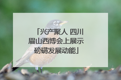 兴产聚人 四川眉山西博会上展示磅礴发展动能