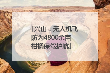 兴山：无人机飞防为4800余亩柑橘保驾护航
