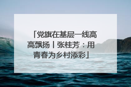 党旗在基层一线高高飘扬丨张桂芳：用青春为乡村添彩