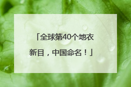 全球第40个地衣新目，中国命名！