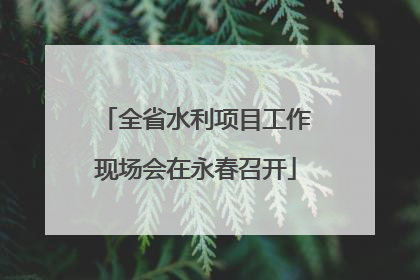 全省水利项目工作现场会在永春召开