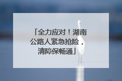 全力应对！湖南公路人紧急抢险，清障保畅通