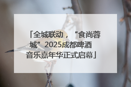 全城联动，“食尚蓉城”2025成都啤酒音乐嘉年华正式启幕