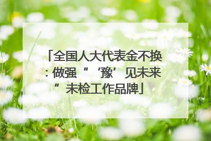 全国人大代表金不换：做强“‘豫’见未来”未检工作品牌
