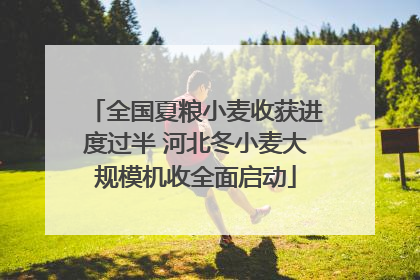 全国夏粮小麦收获进度过半 河北冬小麦大规模机收全面启动