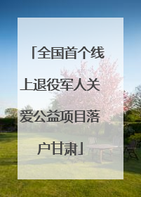 全国首个线上退役军人关爱公益项目落户甘肃