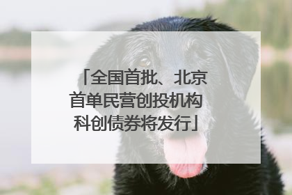 全国首批、北京首单民营创投机构科创债券将发行