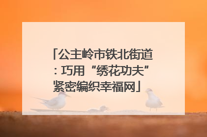 公主岭市铁北街道：巧用“绣花功夫”紧密编织幸福网