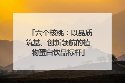 六个核桃：以品质筑基、创新领航的植物蛋白饮品标杆