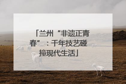 兰州“非遗正青春”：千年技艺碰撞现代生活