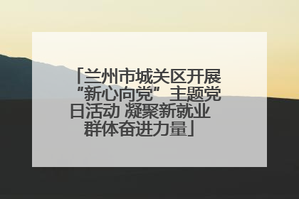 兰州市城关区开展“新心向党”主题党日活动 凝聚新就业群体奋进力量