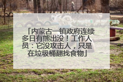 内蒙古一镇政府连续多日有熊出没！工作人员：它没攻击人，只是在垃圾桶翻找食物