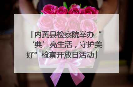 内黄县检察院举办“‘典’亮生活，守护美好”检察开放日活动