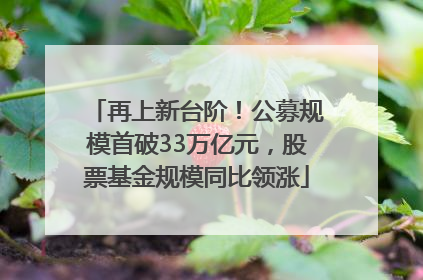 再上新台阶！公募规模首破33万亿元，股票基金规模同比领涨