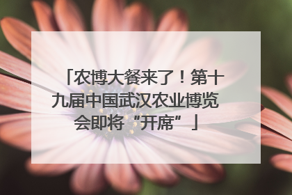 农博大餐来了！第十九届中国武汉农业博览会即将“开席”