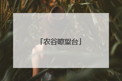 农谷瞭望台