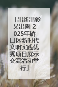 出新出彩又出圈 2025年硚口区新时代文明实践优秀项目展示交流活动举行