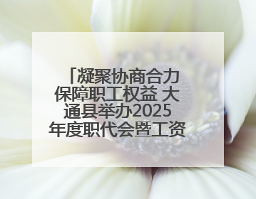 凝聚协商合力 保障职工权益 大通县举办2025年度职代会暨工资集体协商现场观摩交流活动