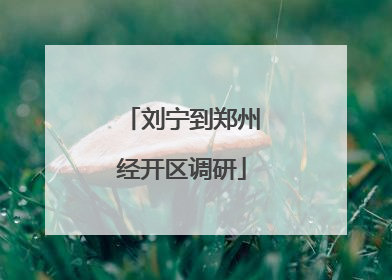 刘宁到郑州经开区调研