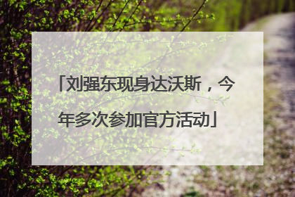 刘强东现身达沃斯，今年多次参加官方活动