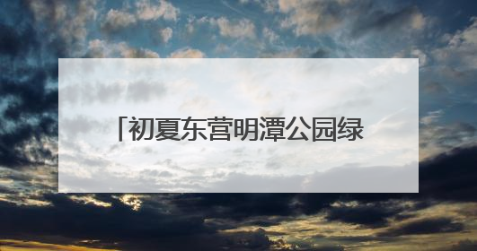 初夏东营明潭公园绿意盎然，景色宜人