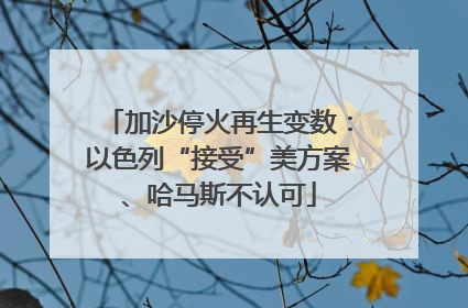 加沙停火再生变数：以色列“接受”美方案、哈马斯不认可