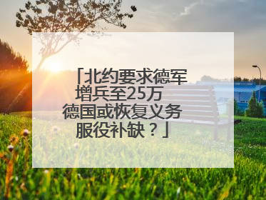 北约要求德军增兵至25万 德国或恢复义务服役补缺？
