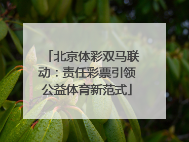 北京体彩双马联动：责任彩票引领公益体育新范式