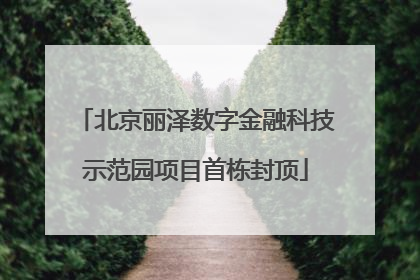 北京丽泽数字金融科技示范园项目首栋封顶