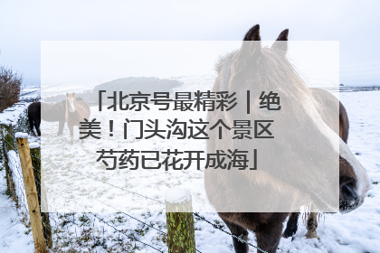 北京号最精彩｜绝美！门头沟这个景区芍药已花开成海