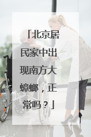 北京居民家中出现南方大蟑螂，正常吗？