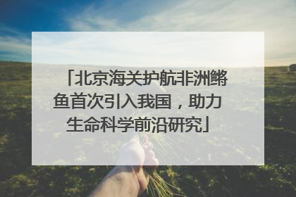 北京海关护航非洲鳉鱼首次引入我国，助力生命科学前沿研究