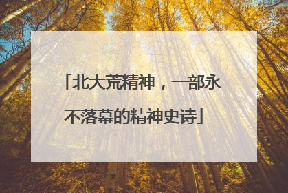 北大荒精神，一部永不落幕的精神史诗