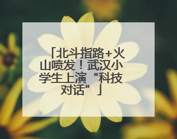 北斗指路+火山喷发！武汉小学生上演“科技对话”