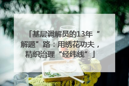 基层调解员的13年“解题”路：用绣花功夫，精织治理“经纬线”