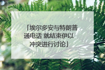 埃尔多安与特朗普通电话 就结束伊以冲突进行讨论