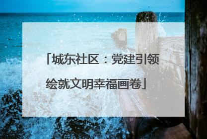 城东社区：党建引领绘就文明幸福画卷