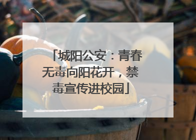 城阳公安：青春无毒向阳花开，禁毒宣传进校园