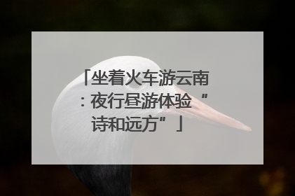 坐着火车游云南：夜行昼游体验“诗和远方”