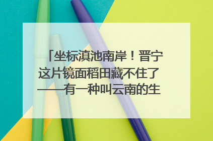 坐标滇池南岸！晋宁这片镜面稻田藏不住了——有一种叫云南的生活之365天